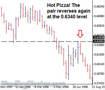 The Price Finds The Resistance Level Too Hot And Reverses