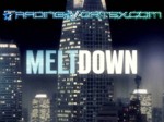 Meltdown: The Secret History of the Global Financial Collapse Meltdown: The Secret History of the Global Financial Collapse